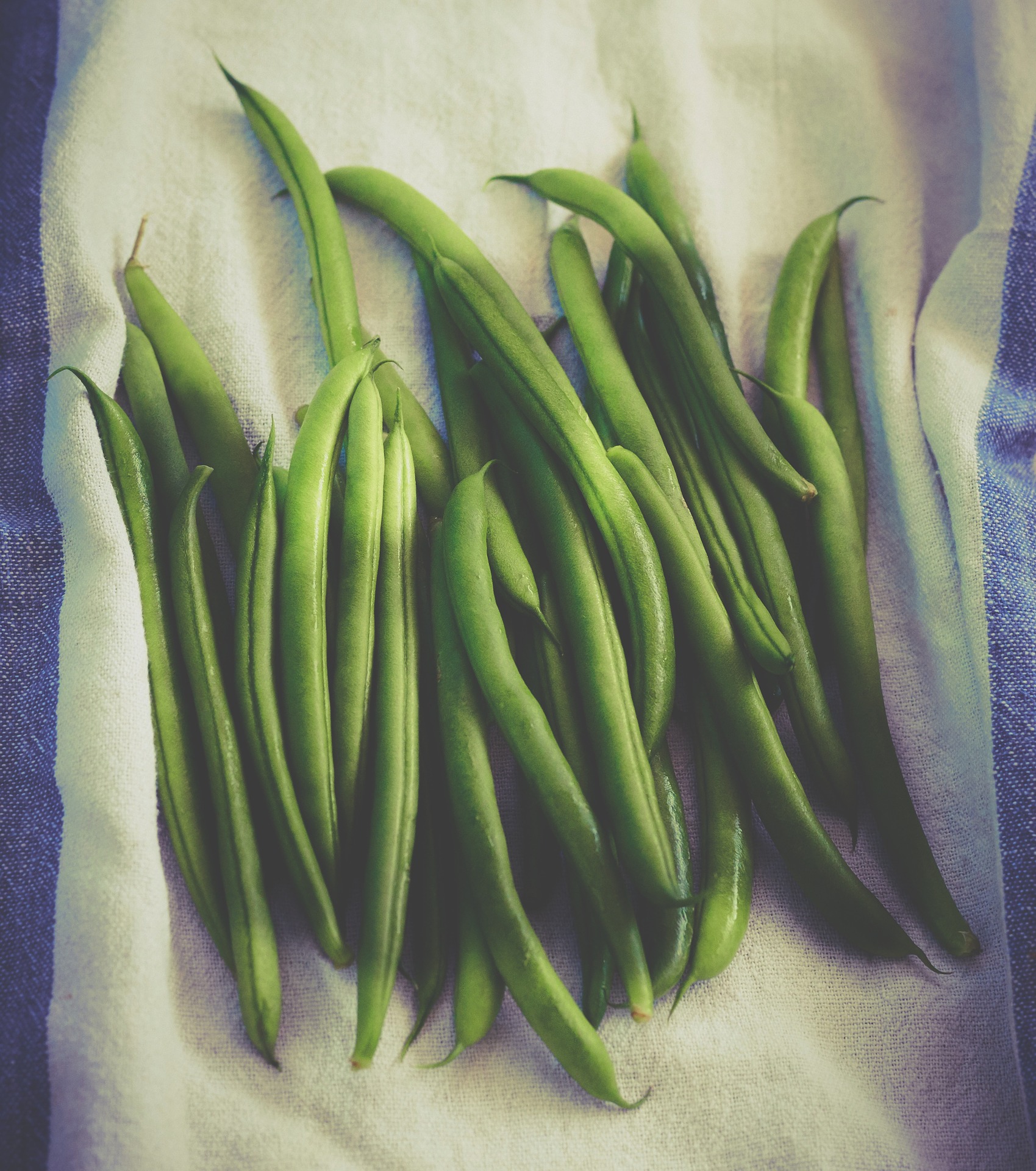 green-beans-1081933_1920