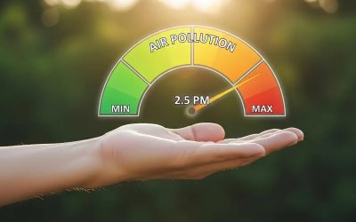 How Summer Air Quality Affects Your Lungs