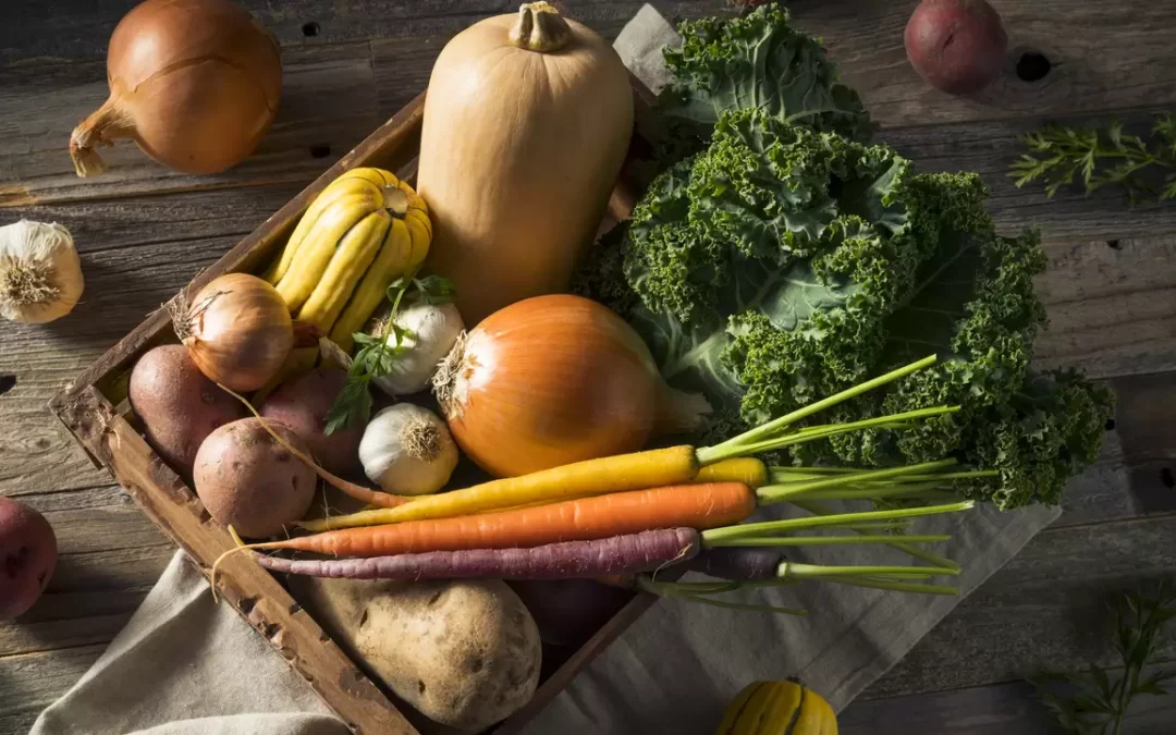 Winter Superfoods That Help Your Immune System